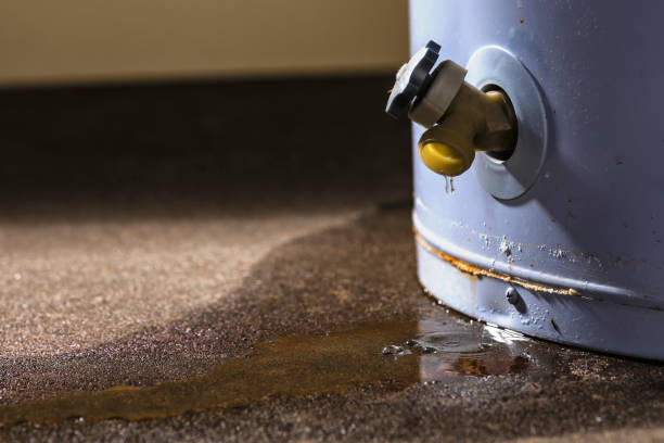 Best Water damage restoration near me  in Wayne, WV