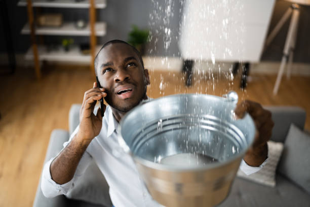 Best Sewage cleanup and water damage restoration  in Wayne, WV