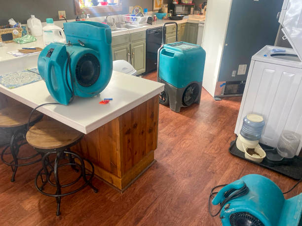 Best 24/7 water damage repair  in Wayne, WV
