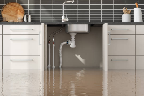 Best Emergency water damage restoration  in Wayne, WV
